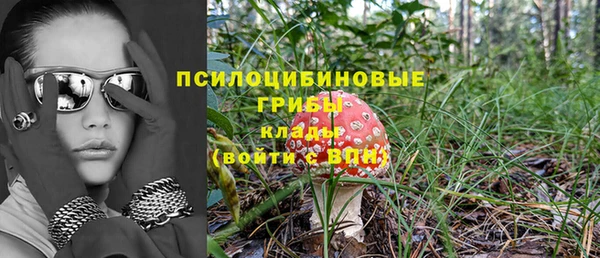 стаф Пролетарск